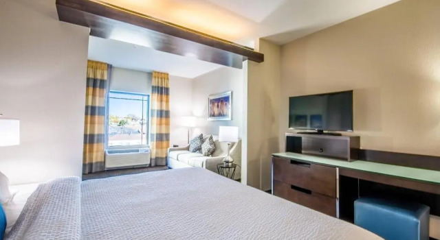 Люкс Fairfield Inn & Suites by Marriott Denver Downtown