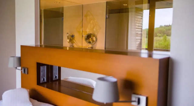 Номер Superior с балконом Spa Resort Styria- ADULTS ONLY