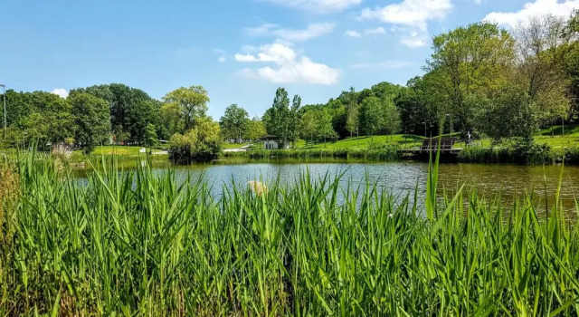 Haus am Park, Забронировать Отель Штадталлендорф земля Гессен