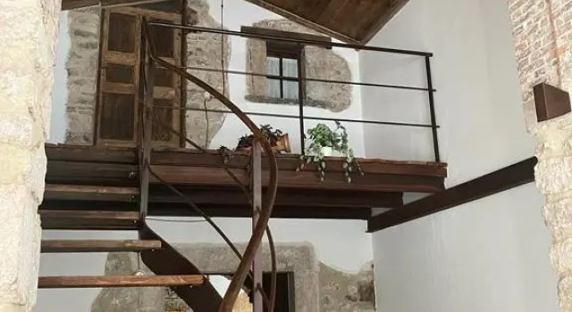 Студия DOMUS VELA