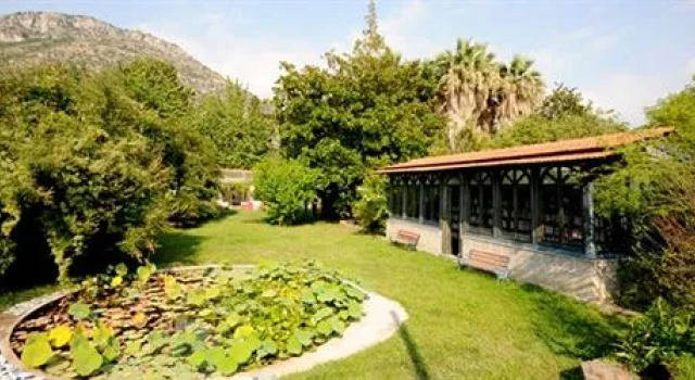 La Gallina Felice B&B, Book Bed and Breakfast Meta Sorrento