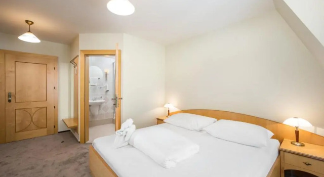 Двухместный номер Standard Hotel Zlaty Lev