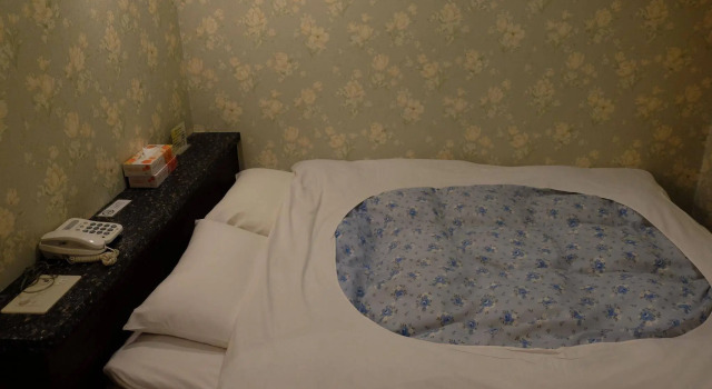 Ikebukuro Hotel Oasis, Забронировать Отель Остров Осима Токио, рядом с Theater Green