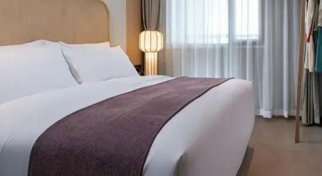 Suite Deluxe S Hotel