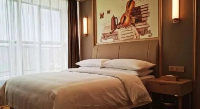 Двухместный люкс Deluxe Vienna International Hotel (Dushan)