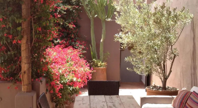 Camera Standard Riad Timila
