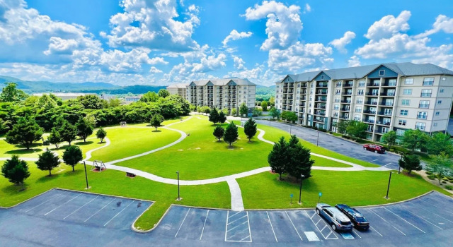 A Beary Good Getaway 2 Bedroom Condo