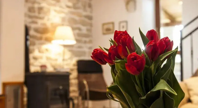 Holiday Home Ana 240, Забронировать Апартаменты/квартира Апартаменты Rovinj Riviera, Апартаменты/квартира