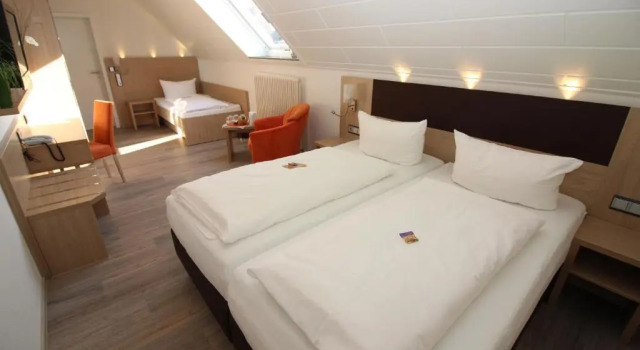 Трёхместный номер Standard Hotel Engel