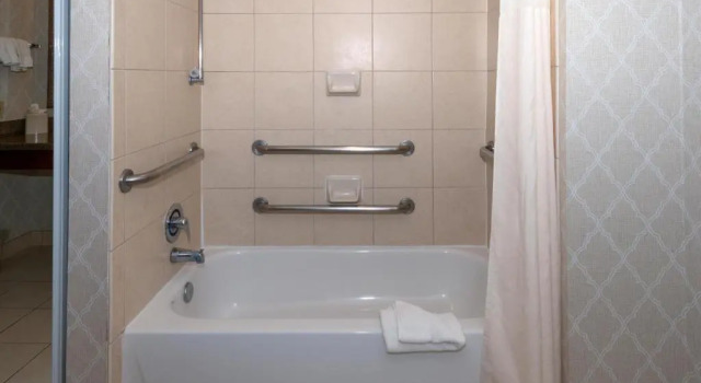 Двухместный люкс Accessible Homewood Suites by Hilton New Orleans