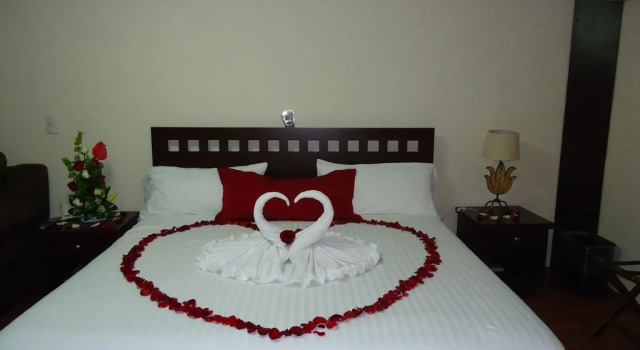 Hotel Plaza San Carlos, Rezervasyon Otel State of Puebla otoparklı oteller, Otopark