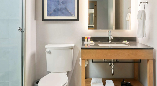 Двухместный номер Hyatt Place Chicago Medical/University District