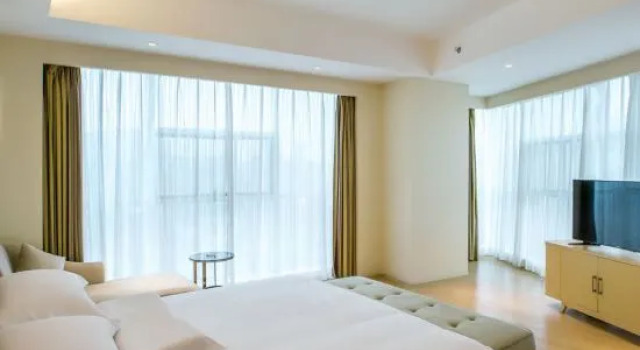 Люкс Deluxe Vienna International Hotel (Chengdu Century City Convention and Exhibition Center Branch)