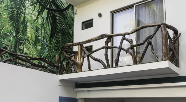 The Green Village Boutique Hotel, Prenota Boutique Hotel a Quintana Roo con piscina, Piscina