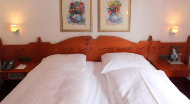 Двухместный номер Standard Steichele Hotel & Weinrestaurant