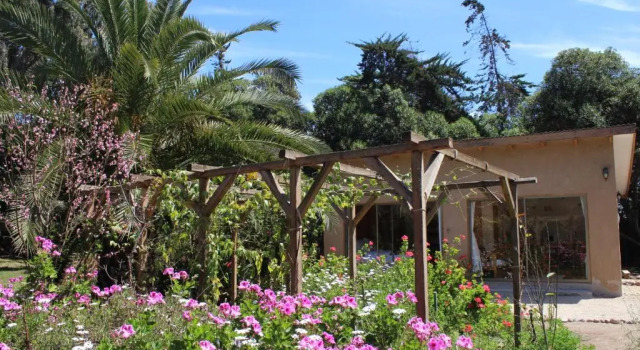 Коттедж Eco Refugio El Arbol