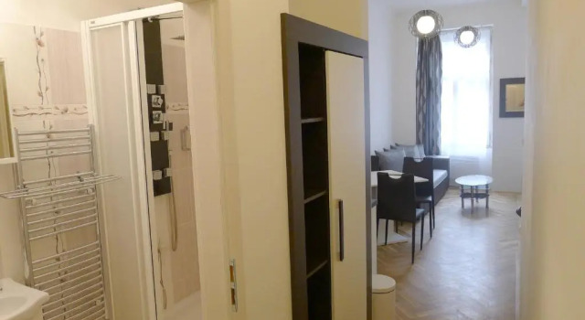 Апартаменты Comfort Black & White Apartment Prague by Wenceslas Square and Muzeum
