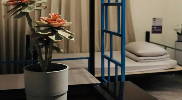 Номер Standard 旅悅 國際青年旅館 DreamWell Hostel