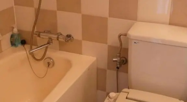 Трёхместный номер Standard Shibuya Excel Hotel Tokyu
