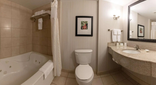 Двухместный номер Standard Hilton Garden Inn Columbia/Harbison