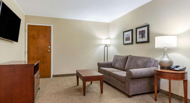 Двухместный люкс Comfort Inn & Suites Clemson - University Area