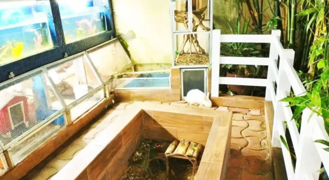 Finca Bambino Veracruz