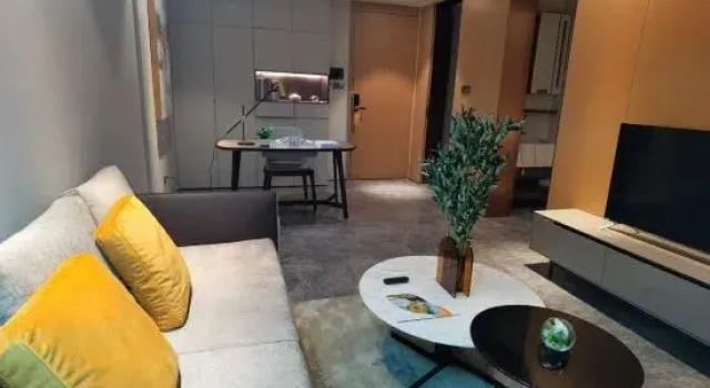 Люкс Business с балконом и с красивым видом из окна Ovis International Hotel Apartment