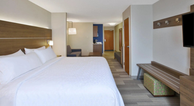 Номер Standard Holiday Inn Express Hotel & Suites Auburn Hills by IHG