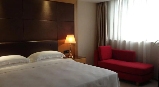 Двухместный люкс Aurum International Hotel Xi'an