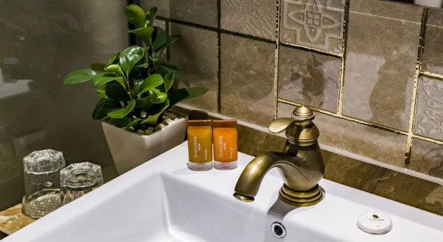 Номер Deluxe Sunflower Luxury Hotel