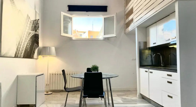 Апартаменты Apartamentos Puerta del Sol-Lofts Calle Ribera de Curtidores