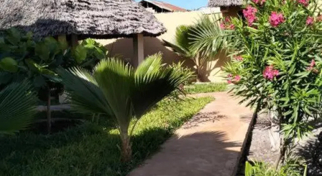 Zanzi Breeze Villa, Забронировать Вилла Отели Падже с бассейном, рядом с Пляж Paje Beach, Бассейн