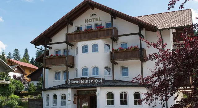 Двухместный номер Standard Hotel Eisensteiner Hof