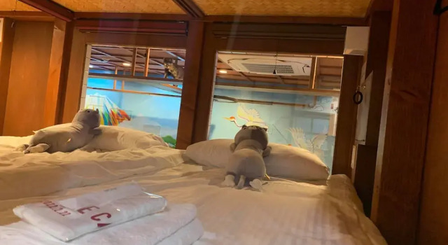Cat Spa & Cat Ryokan by Neco Republic Osaka, Забронировать Курортный отель Курортные отели Осаки, рядом с Намба, Курортный отель