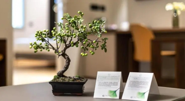 Номер Standard Hotel The Cube