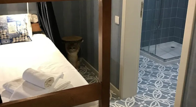 Кровать в общем номере Royal Beach Hostel