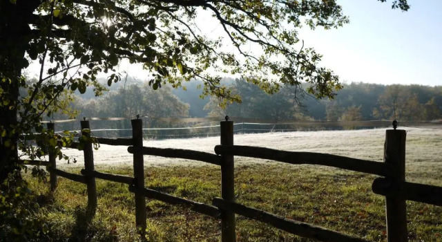 Standardowy dwuosobowy pokój Logis Hôtels Domaine du Châtelard