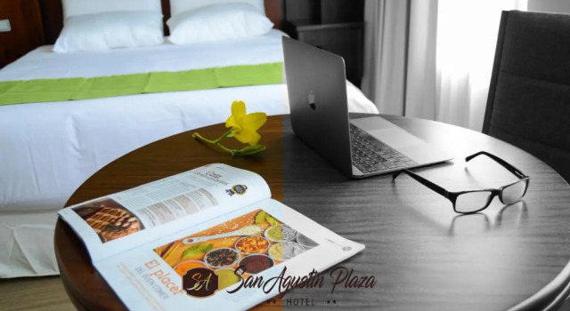 Одноместный номер Deluxe Hotel San Agustin Plaza