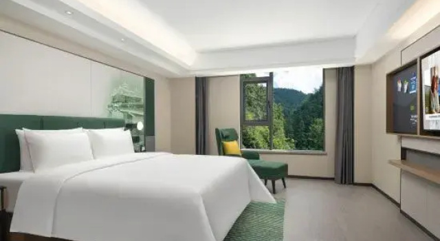 Двухместный люкс Hampton by Hilton Huangshan Scenic Area South Gate