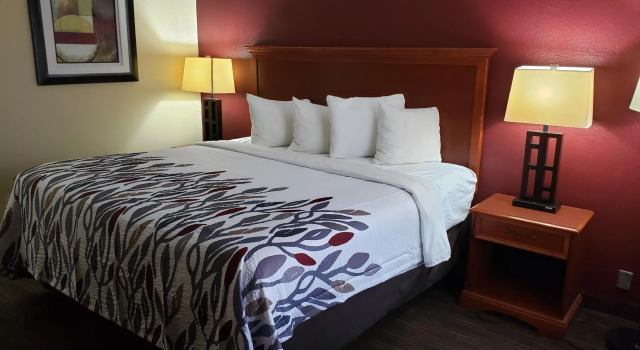 Двухместный номер Deluxe Red Roof Inn & Conference Center McKinney