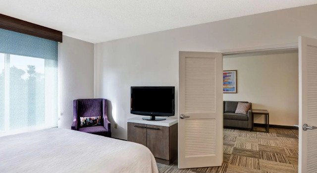 Двухместный номер Standard Hilton Garden Inn Mobile East Bay / Daphne