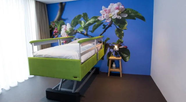 de rode beer (zeer rolstoelgeschikt), Boek Hotel Hotels in Salland met zwembad, Zwembad