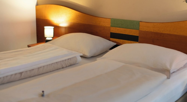 Двухместный номер Classic Hotel Stoiser Graz -Parkplatz inbegriffen