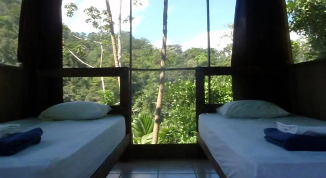 Бунгало Standard Pacuare River Lodge