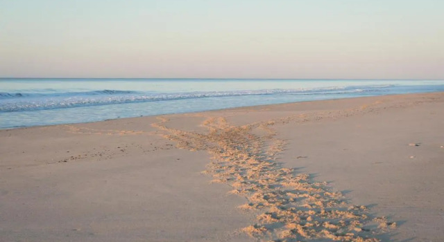 Номер Standard Gurneys Montauk Resort & Seawater Spa