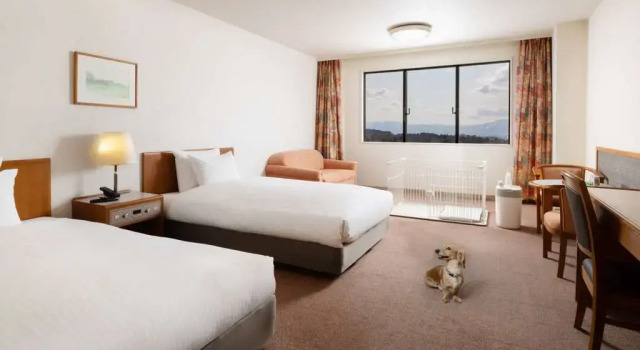 Номер Classic Mercure Toyama Tonami Resort & Spa
