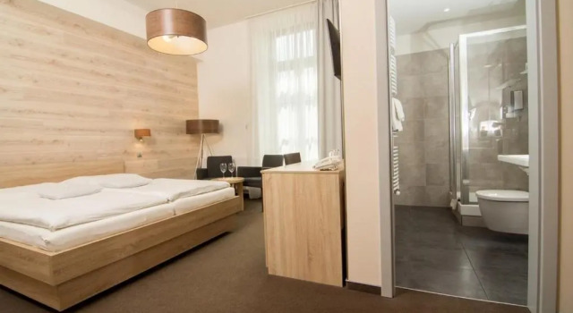 Двухместный номер Standard Hotel Freud