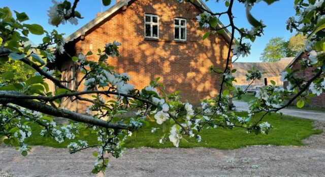 Store Stensig (landlig idyl ved Frederikshavn), Rezervovat Hotel Frederikshavn 