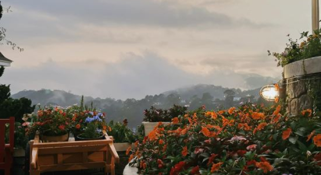 Thi Tran Co Da Lat
