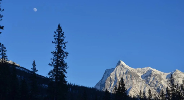 Yoho Chalets, Réserver Chalet Golden Colombie-Britannique